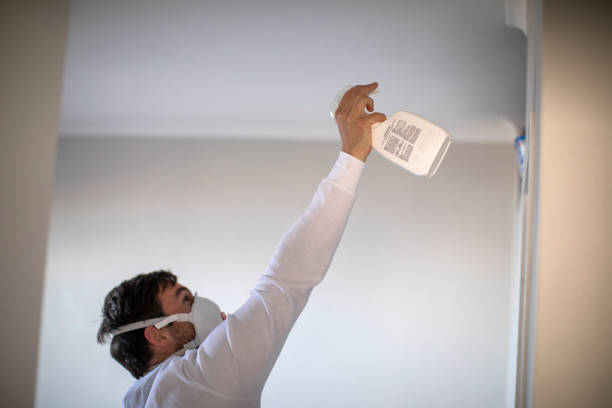 Best Residential Mold Removal  in South Plainfield, NJ