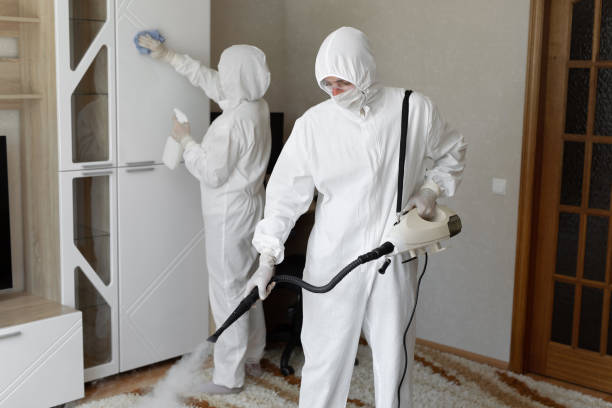 Best Mold Damage Repair  in South Plainfield, NJ